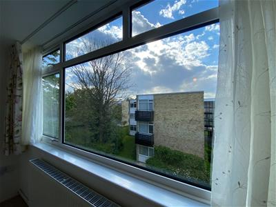 Picture 3